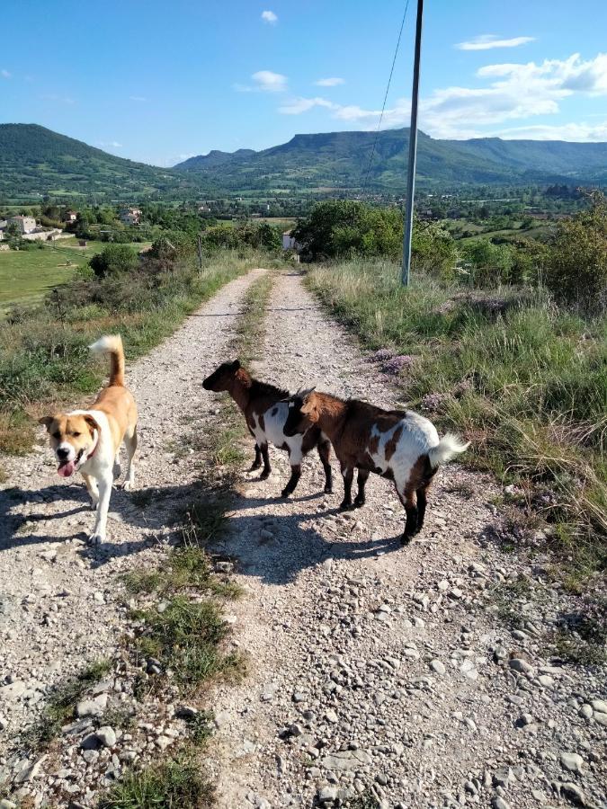 Hotel La Grange De Sabatas Chomérac Zewnętrze zdjęcie
